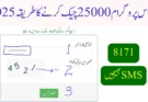 2025 احساس پروگرام 25000 چیک کرنے کا طریقہ