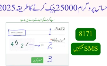 2025 احساس پروگرام 25000 چیک کرنے کا طریقہ