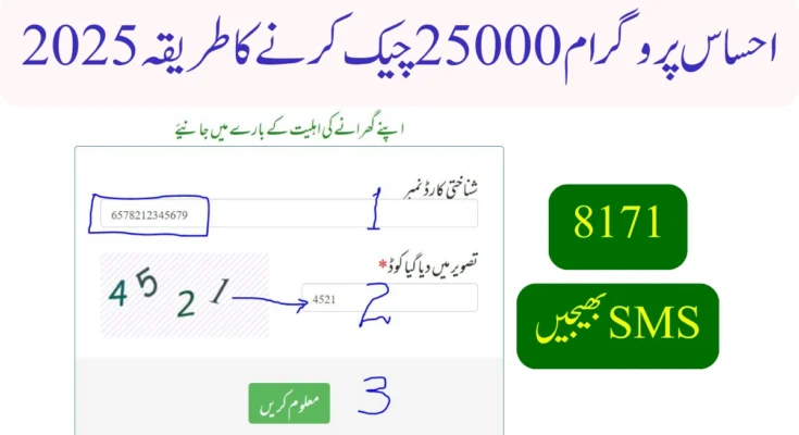 2025 احساس پروگرام 25000 چیک کرنے کا طریقہ