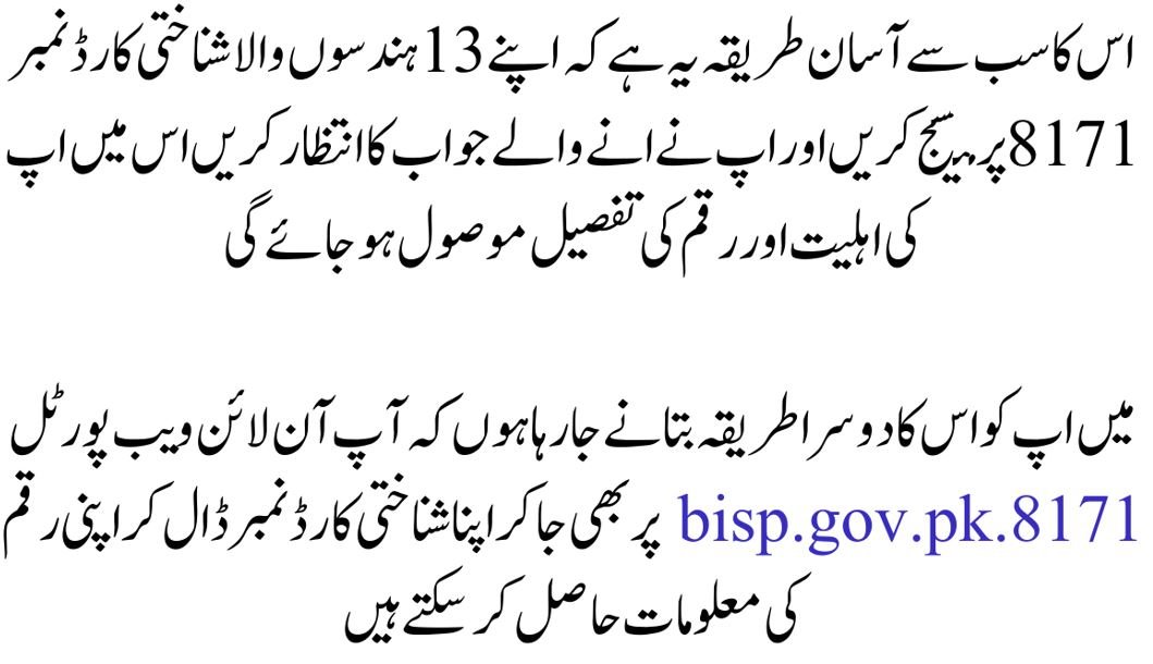 2025 بینظیر انکم سپورٹ پروگرام کے پیسے چیک کرنے کا طریقہ