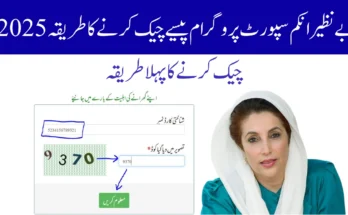 2025 بے نظیر انکم سپورٹ پروگرام پیسے چیک کرنے کا طریقہ