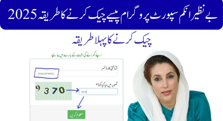 2025 بے نظیر انکم سپورٹ پروگرام پیسے چیک کرنے کا طریقہ